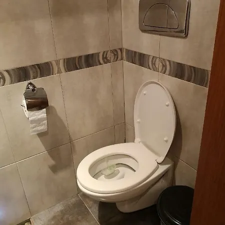 за гости 